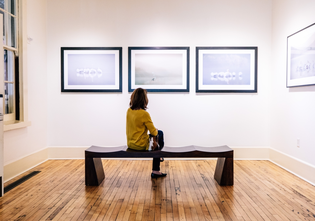 Woman sitting looking at art