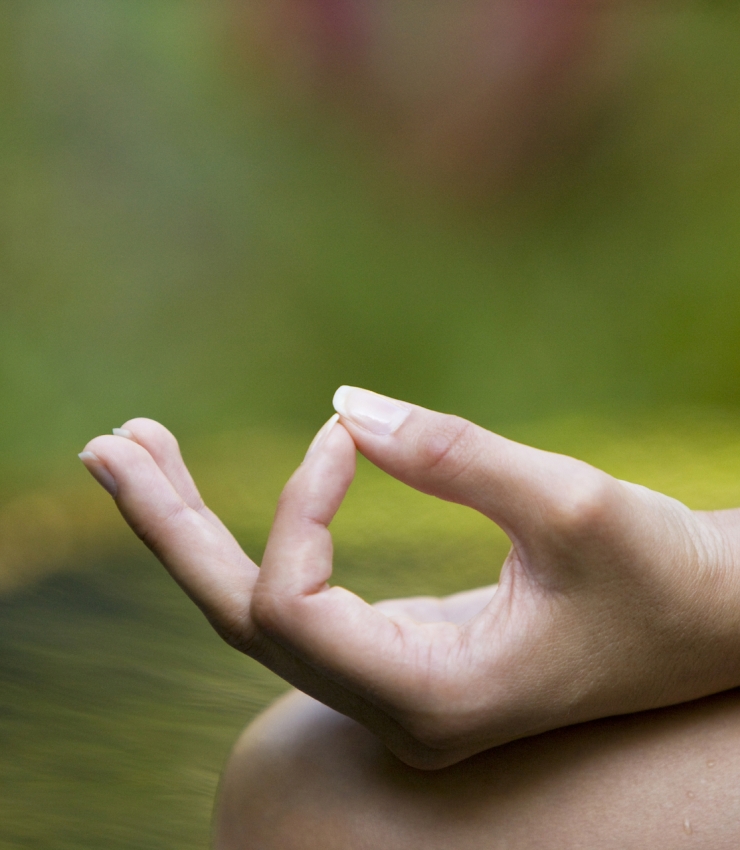 Yoga Hands